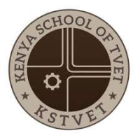 The pinnacle academy